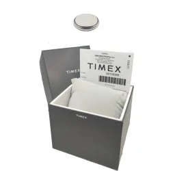 Zegarek Timex T2N794